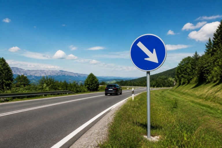 Panneau de direction routiere bleu
